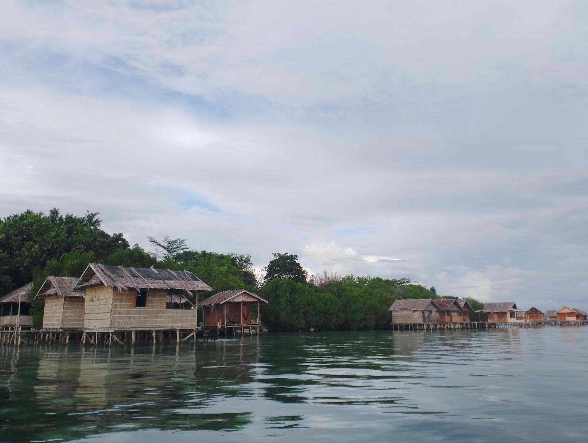 Arborek Diving R4 * Besir